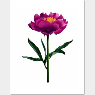 Peonies print Posters and Art